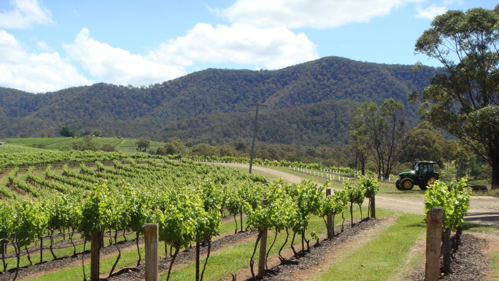 Affordable Hunter Valley Wine Tours