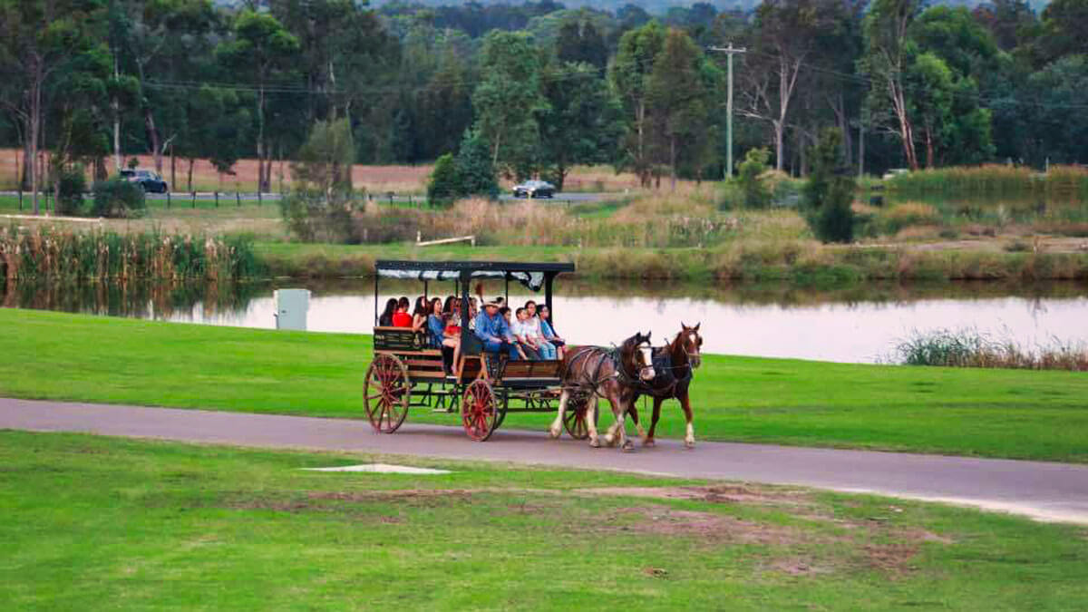 Hunter Valley Horse and Cart Tours