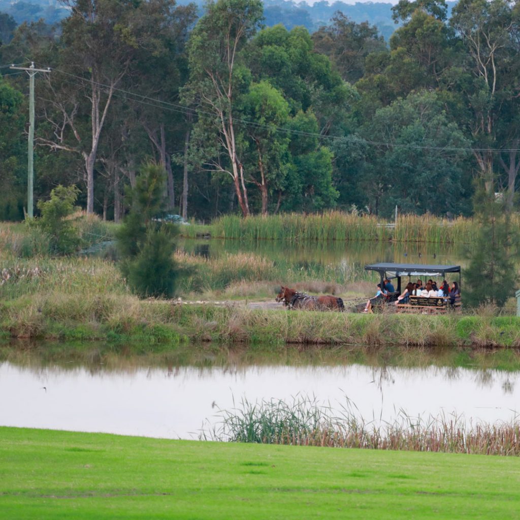 hunter valley tours reviews